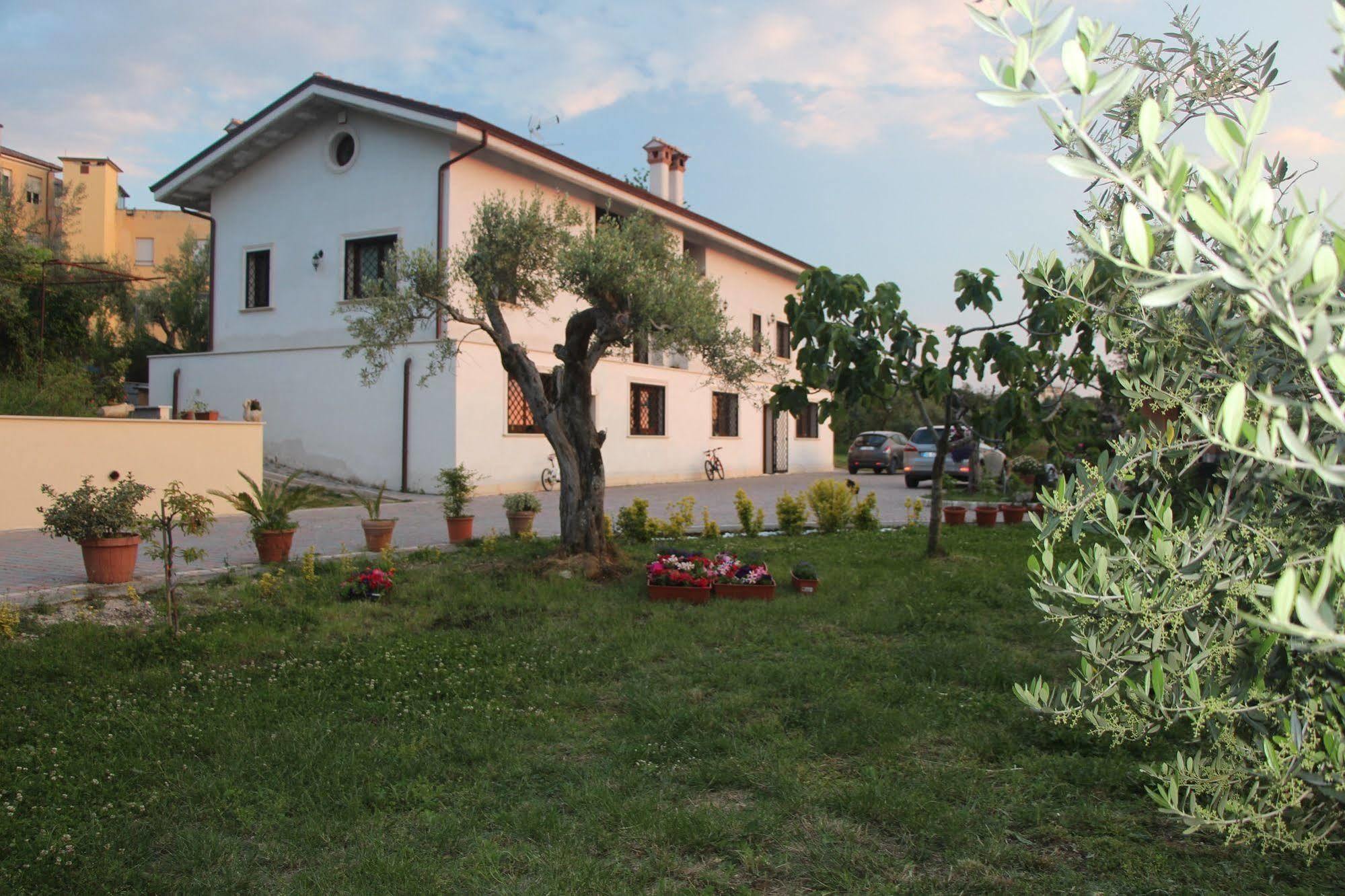 B&B La Terrazza Di Frascati Buitenkant foto