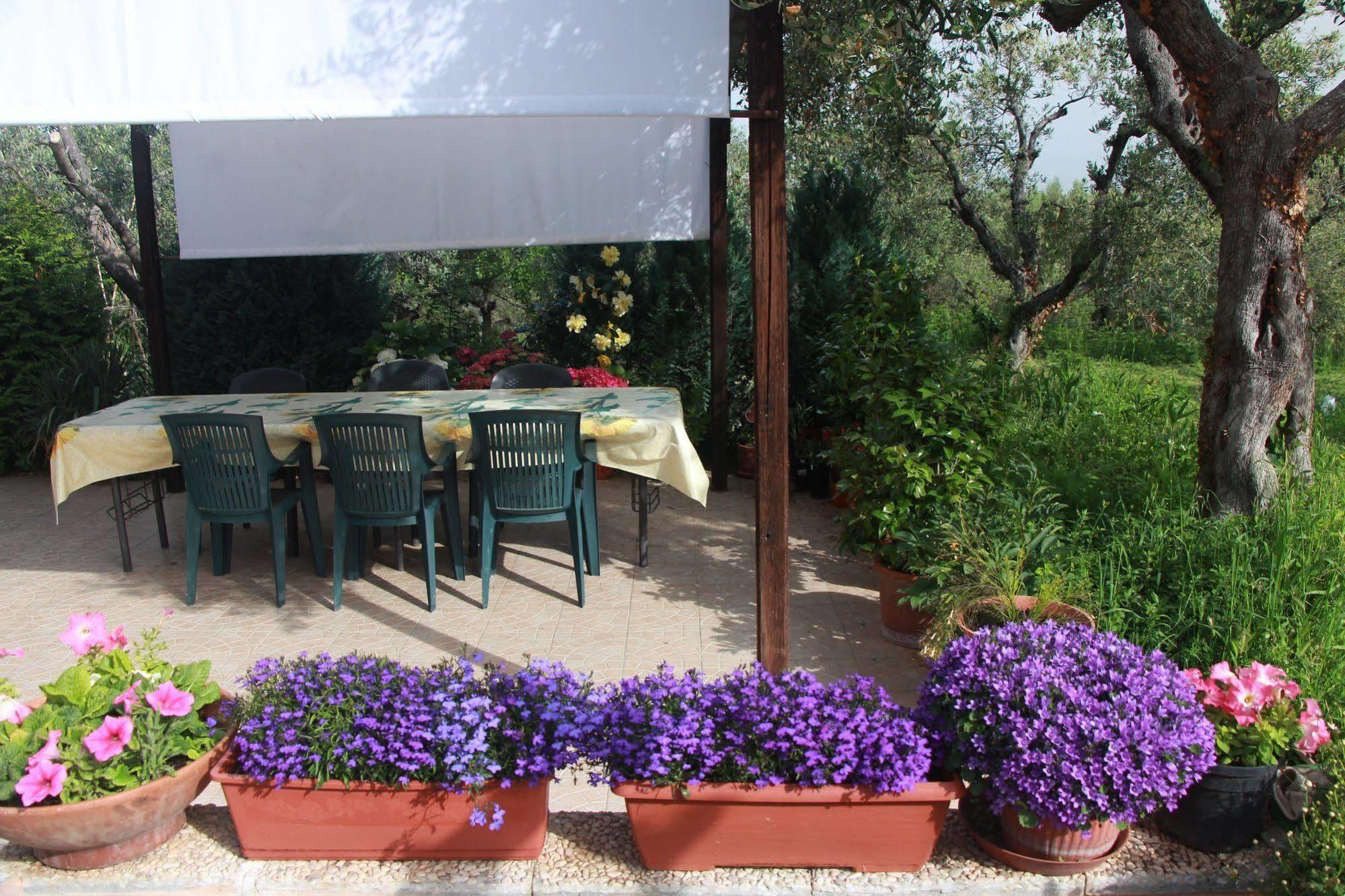B&B La Terrazza Di Frascati Buitenkant foto